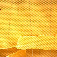 L’apiculture de zone humide en Basse-Loire