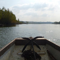 L’apiculture de zone humide en Basse-Loire