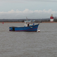 Les pêches traditionnelles en Basse-Loire aval