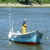 Les pêches traditionnelles en Basse-Loire aval