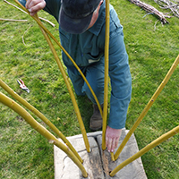 Les pêches traditionnelles en Basse-Loire aval