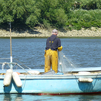 Les pêches traditionnelles en Basse-Loire aval