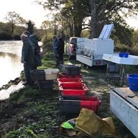 Les savoirs, savoir-faire et pratiques sociales liées à la pisciculture dans les étangs de la Brenne