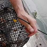 Les pratiques traditionnelles des pêcheurs aux engins et aux filets de Loire-Atlantique