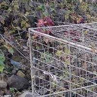 Les pratiques traditionnelles des pêcheurs aux engins et aux filets de Loire-Atlantique