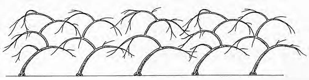 Arcure Lepage 3 (vers 1938)