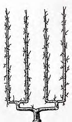 U double (vers 1850)