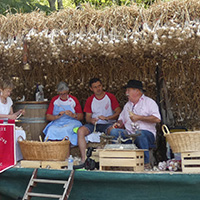 Les pratiques sociales et culturelles des Confréries oenogastronomiques en France