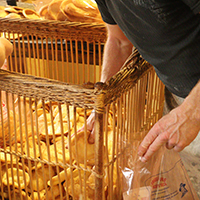 Les savoir-faire et la culture du craquelin en Haute-Bretagne