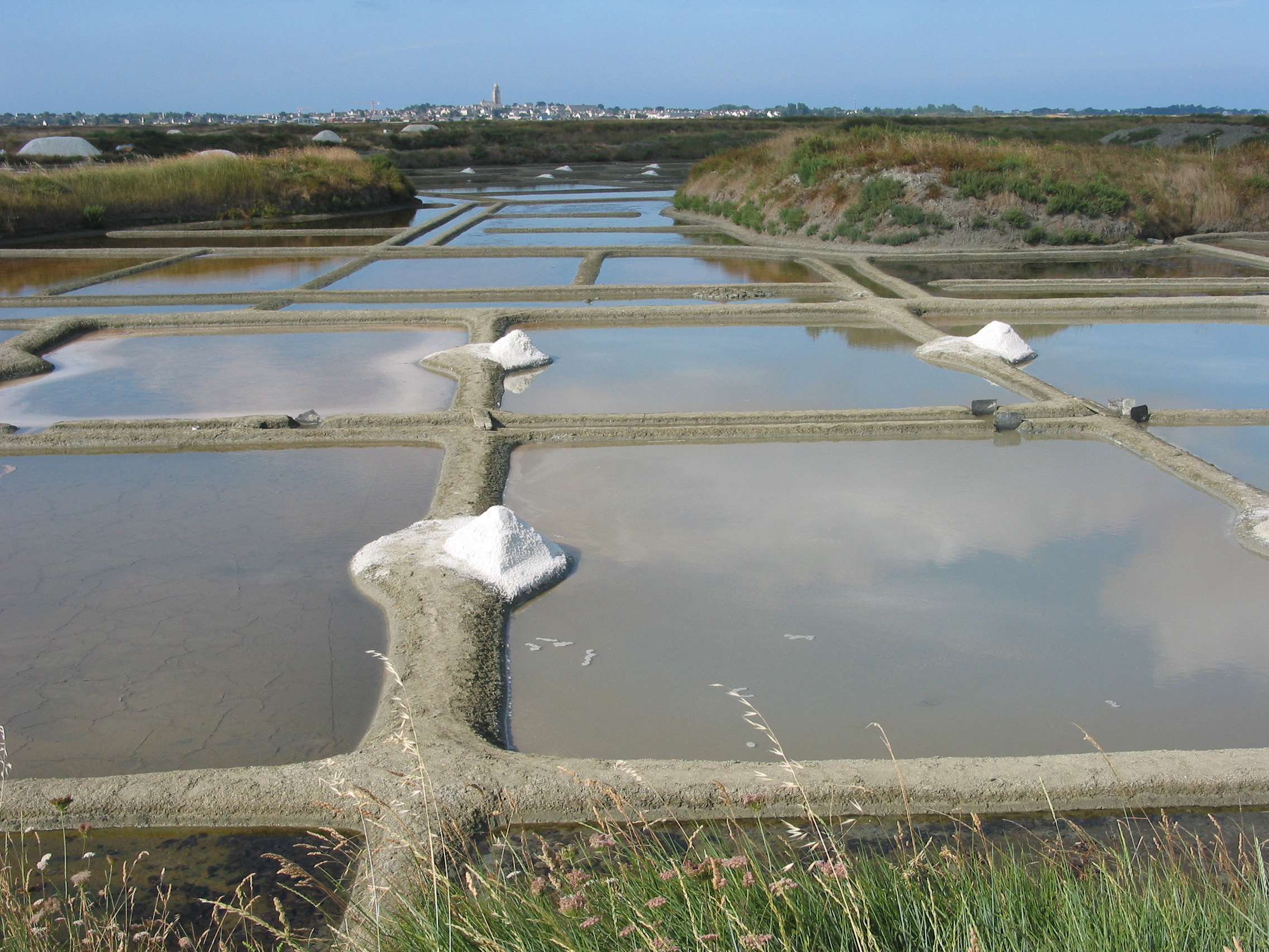 Perspective sur la saline Chantelot en Guérande © G. Buron.
