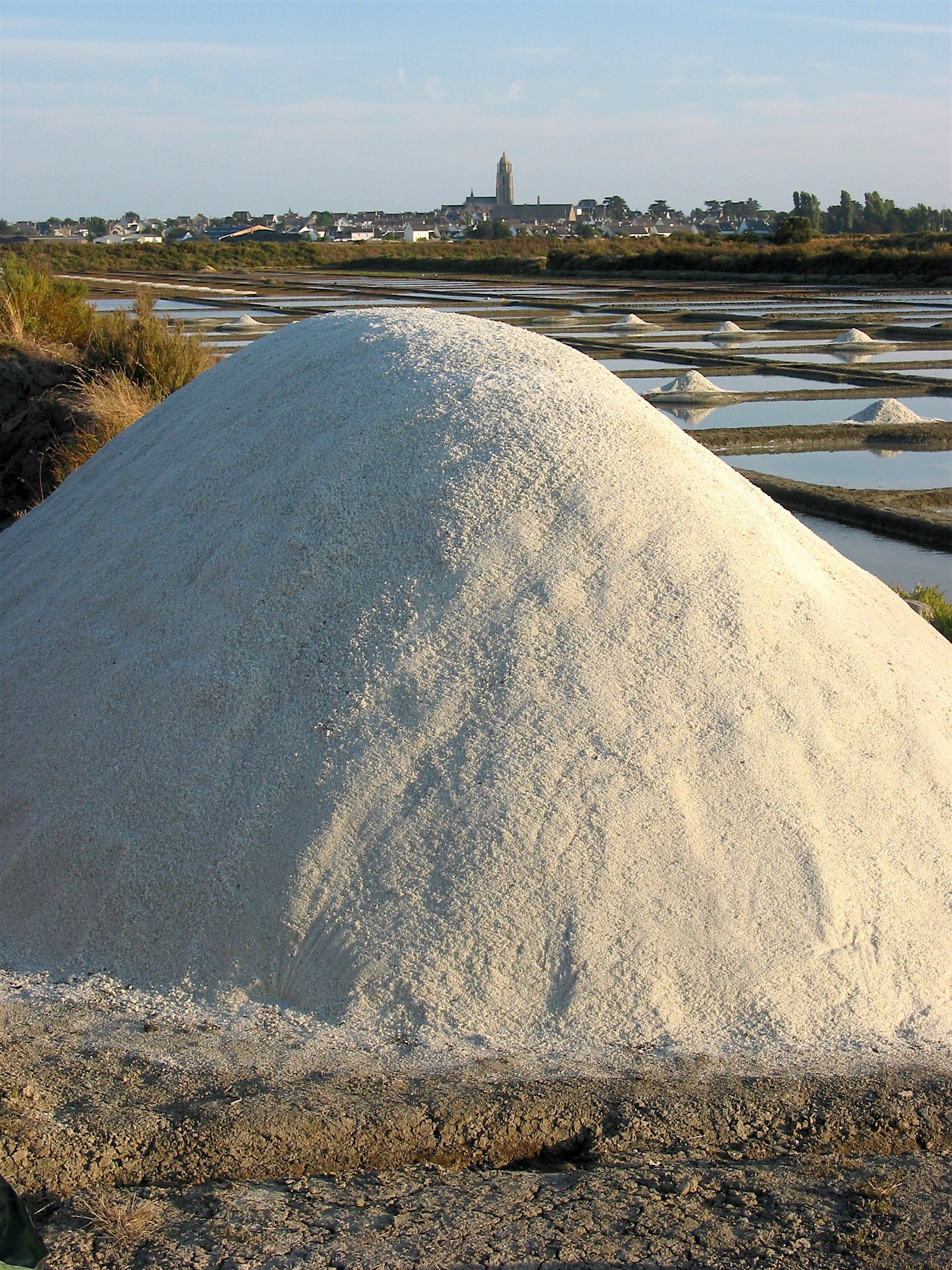 Mulon devant la saline de Sinabat en Batz © G. Buron.