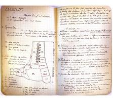 Extrait du manuel Les coupes de boucherie