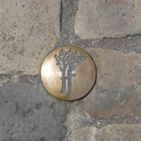 Patrimoine végétal de Bayeux
