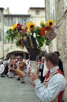 Les fêtes de la vigne et du vin en basse vallée du Rhône