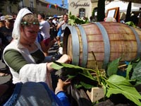 Les fêtes de la vigne et du vin en basse vallée du Rhône